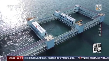 耕海牧漁 深遠海海水養(yǎng)殖技術(shù)的探索與研發(fā)